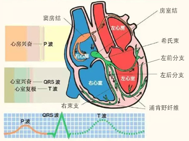 未设置