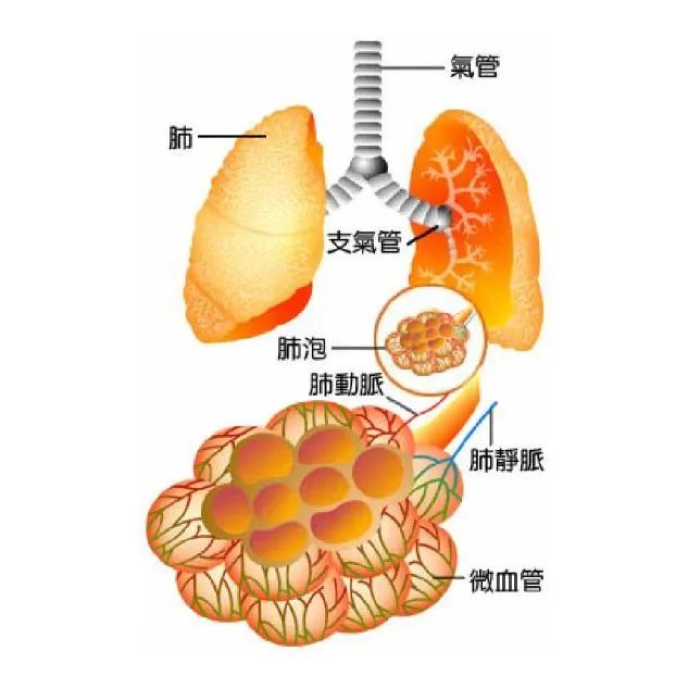 微信图片_20230208110430.jpg