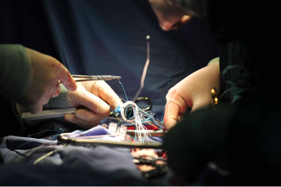 1767064397130815.png 1767064397130815.png