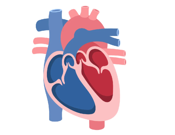 1773801123845285.png 1773801123845285.png