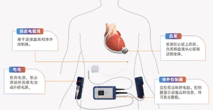 1773801223145667.png 1773801223145667.png